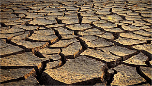 生存者之路 - Zhivchik