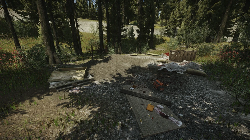 森林藏匿点 森林藏匿点