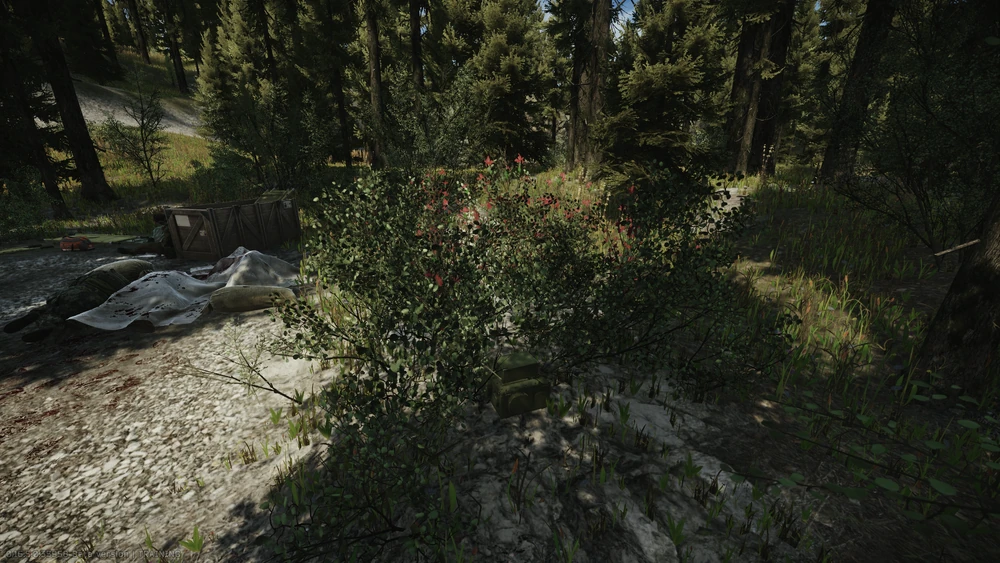 刷新点4 刷新点4