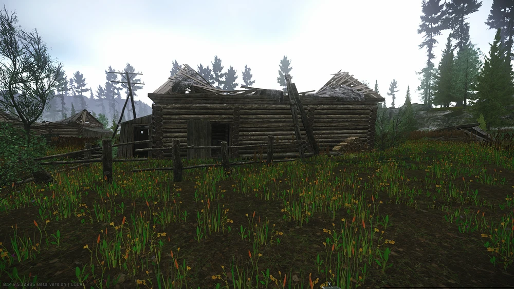 沼泽村庄房子2 沼泽村庄房子2