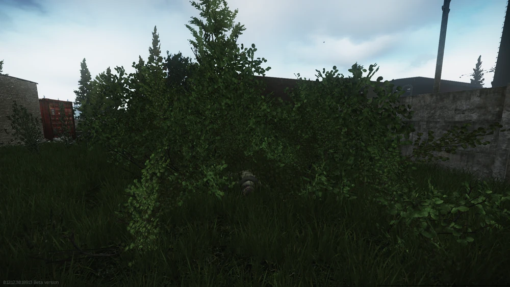 草丛中的尸体 草丛中的尸体