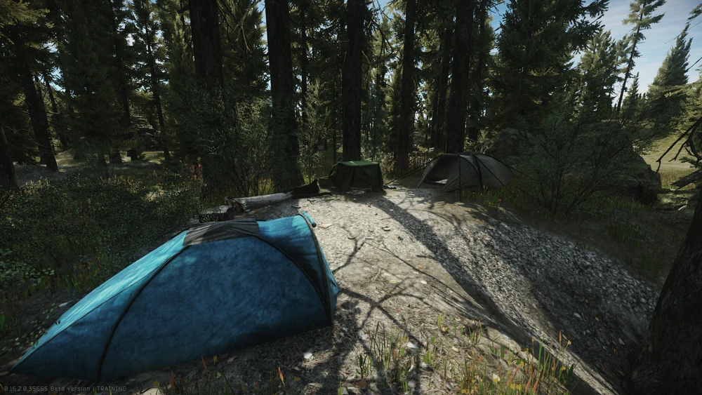 森林转移到灯塔转移点 森林转移到灯塔转移点